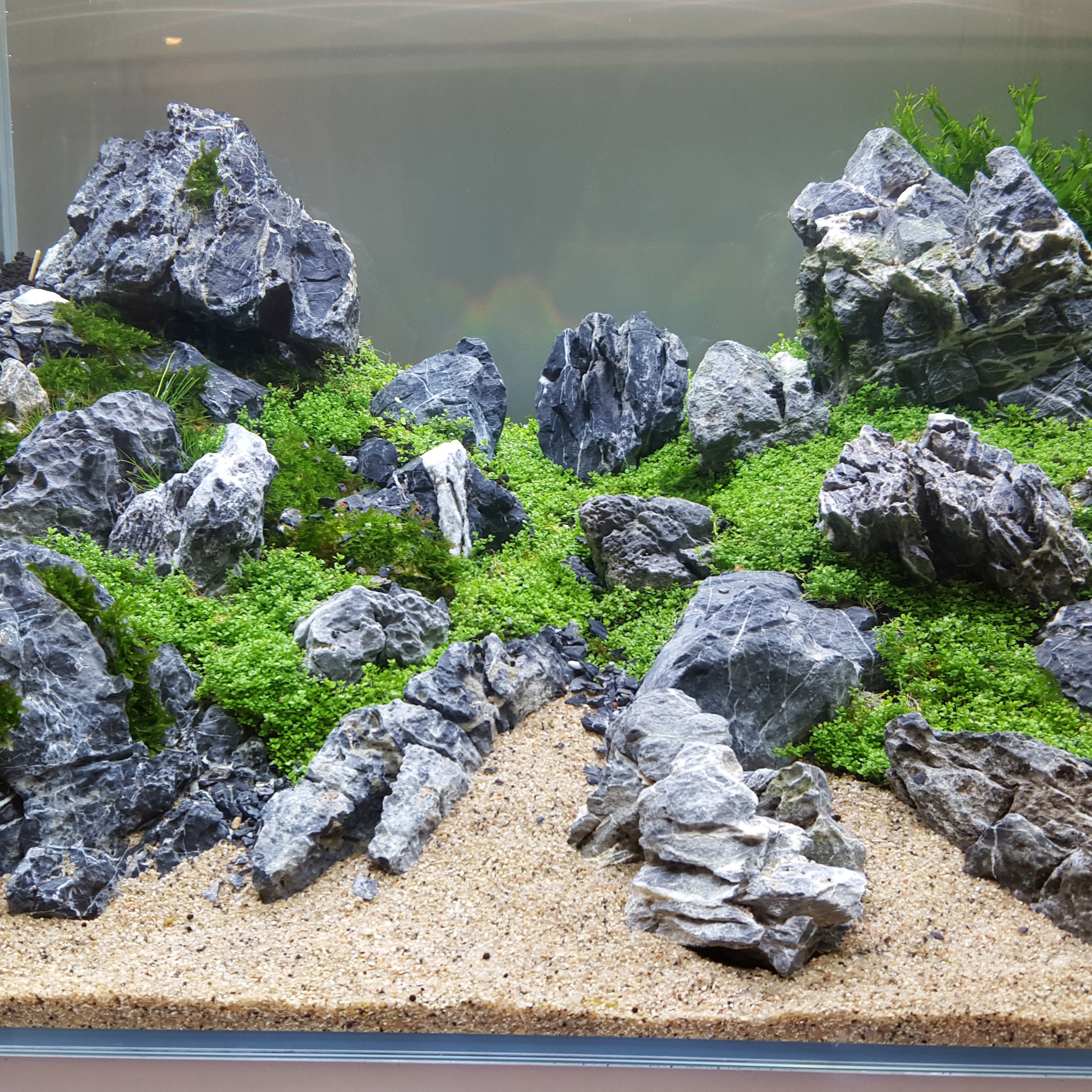 Seiryu Aquascaping Stones 25 Lbs Natural Rock Mix for Fish Tank Landscaping - Perfect for Aquarium Decor, Zen Gardens & Terrarium Design