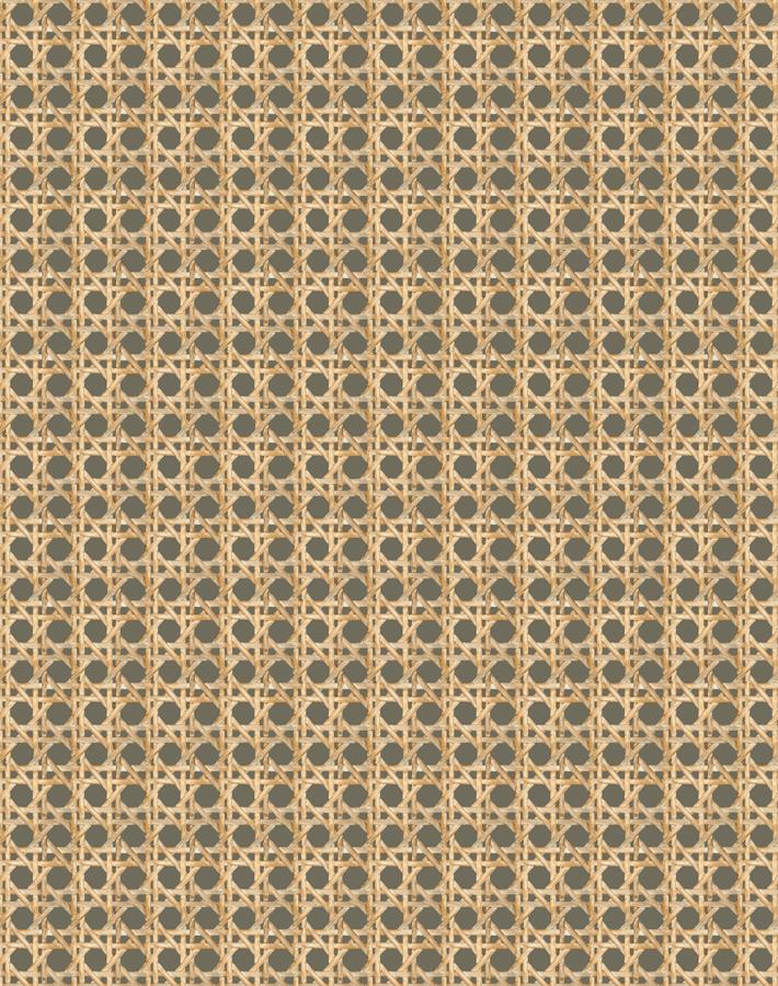 Wallshoppe Faux Caning Wallpaper in Umber - Vintage Inspired Peel and Stick Wallpaper for Bedroom, Living Room & Home Decor