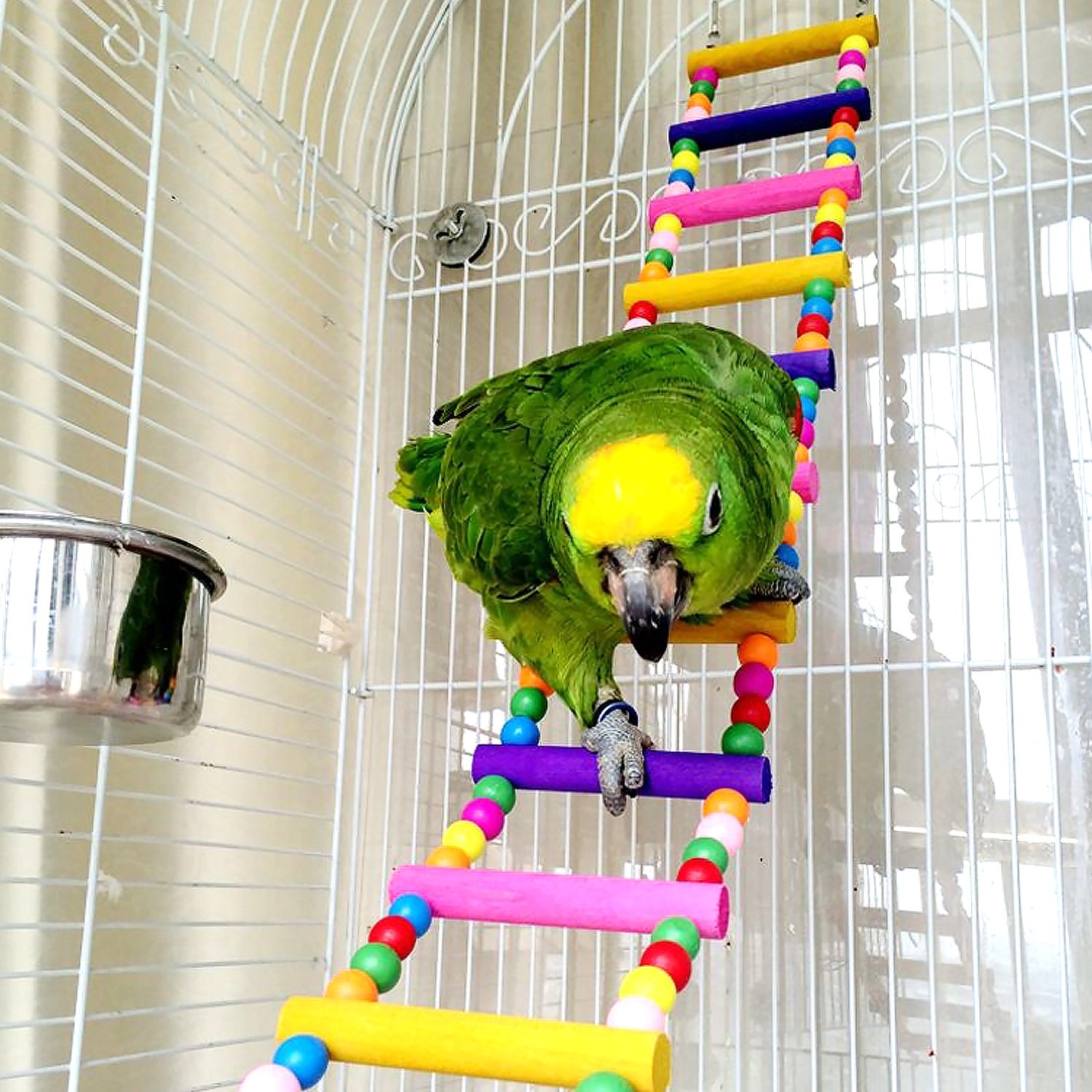 48 Inch Bird Parrot Toys - 18 Ladders Swing Chewing Hanging Pet Cage Accessories for Small Parakeets, Cockatiels, Lovebirds, Conures, Macaws & Finches | Durable Hammock Swing for Playtime & Exercise