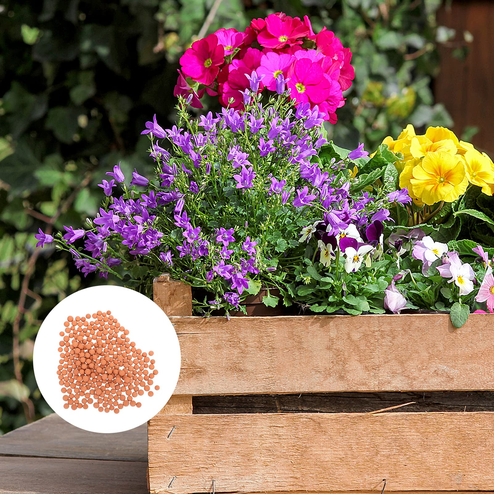 Happyyami Hydroponic Flower Pots - 2 Bags of Premium Cultivation Soil & Decorative Stones for Succulent Plants, Indoor Gardening Supplies | Perfect for Home Decor, Office Desk & Gift Ideas