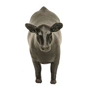 Little Buster Toys County Fair Livestock Show Set - Bull, Steer & Heifer Farm Animal Toy Bundle (Multi-Color) - Perfect for Farm-Themed Play, Educational Activities & Pretend Ranch Adventures