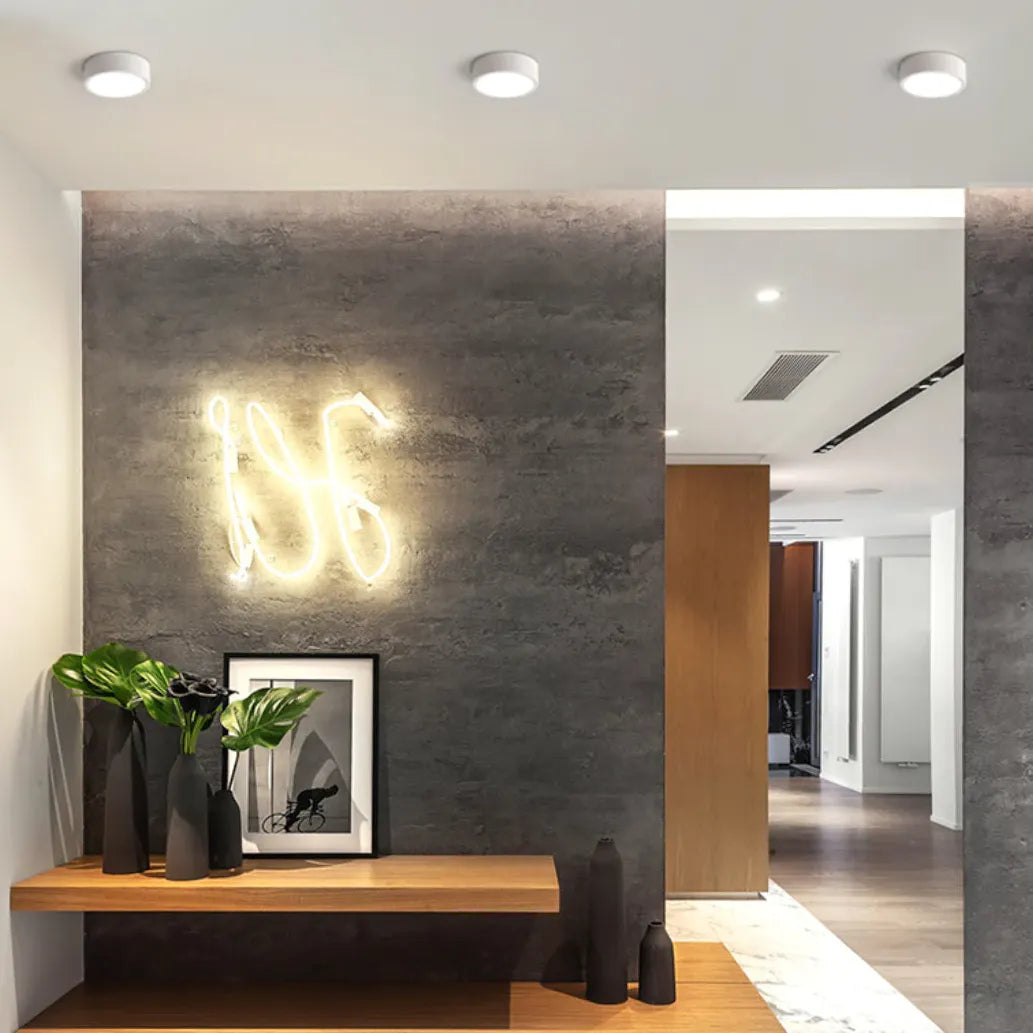 Modern Black Round Ceiling Light Fixture - Energy Efficient LED Flush Mount for Living Room, Bedroom, Hallway & Kitchen | Dimmable Ambient Lighting for Home Decor