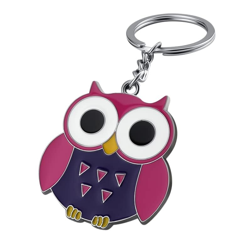 Stylish Lucky Owl Keychain with Evil Eye Charm - Enamel Painted Owl Key Holder for Women & Men | Perfect Gift for Travel, Home Decor & Daily Use