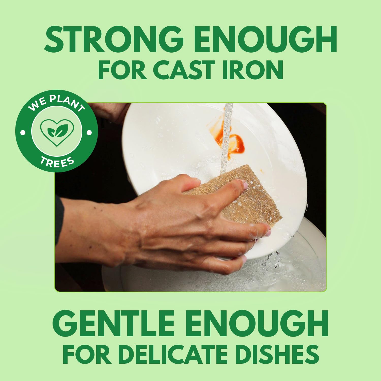 6-Pack Natural Kitchen Sponges - Eco-Friendly Cellulose & Coconut Husk Scrub Sponges for Dishwashing | Odor-Free, Non-Scratch Walnut Scrubber | Quick-Drying Sponges for Sinks, Countertops & Cookware Cleaning