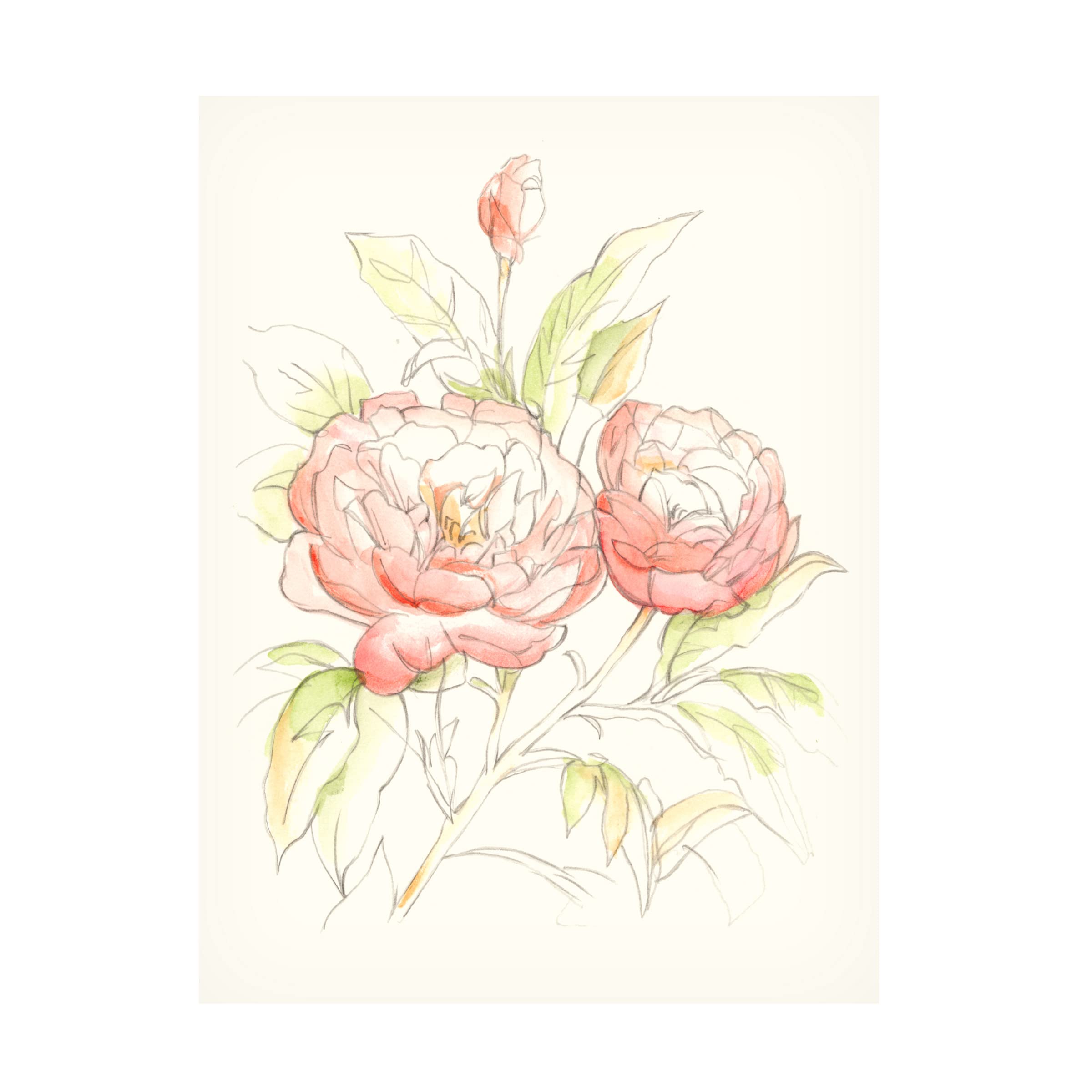 Ethan Harper Watercolor Floral Variety II Canvas Wall Art - Handmade Floral Painting for Living Room, Bedroom & Office Decor