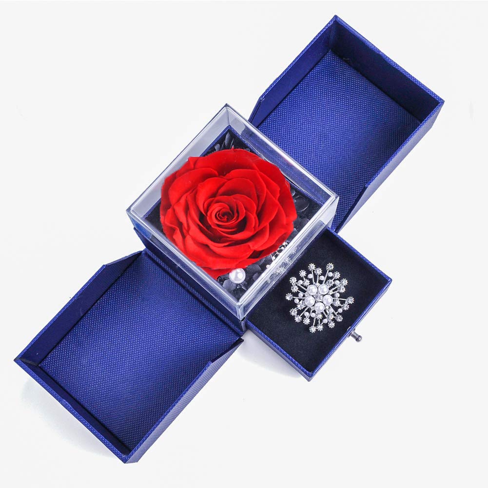Eternal Rose with Brooch in Jewelry Box - Forever Rose Flower Gift for Valentine's Day, Mother's Day, Christmas, Birthday, Anniversary - Perfect for Romantic Surprises, Home Decor & Special Occasions