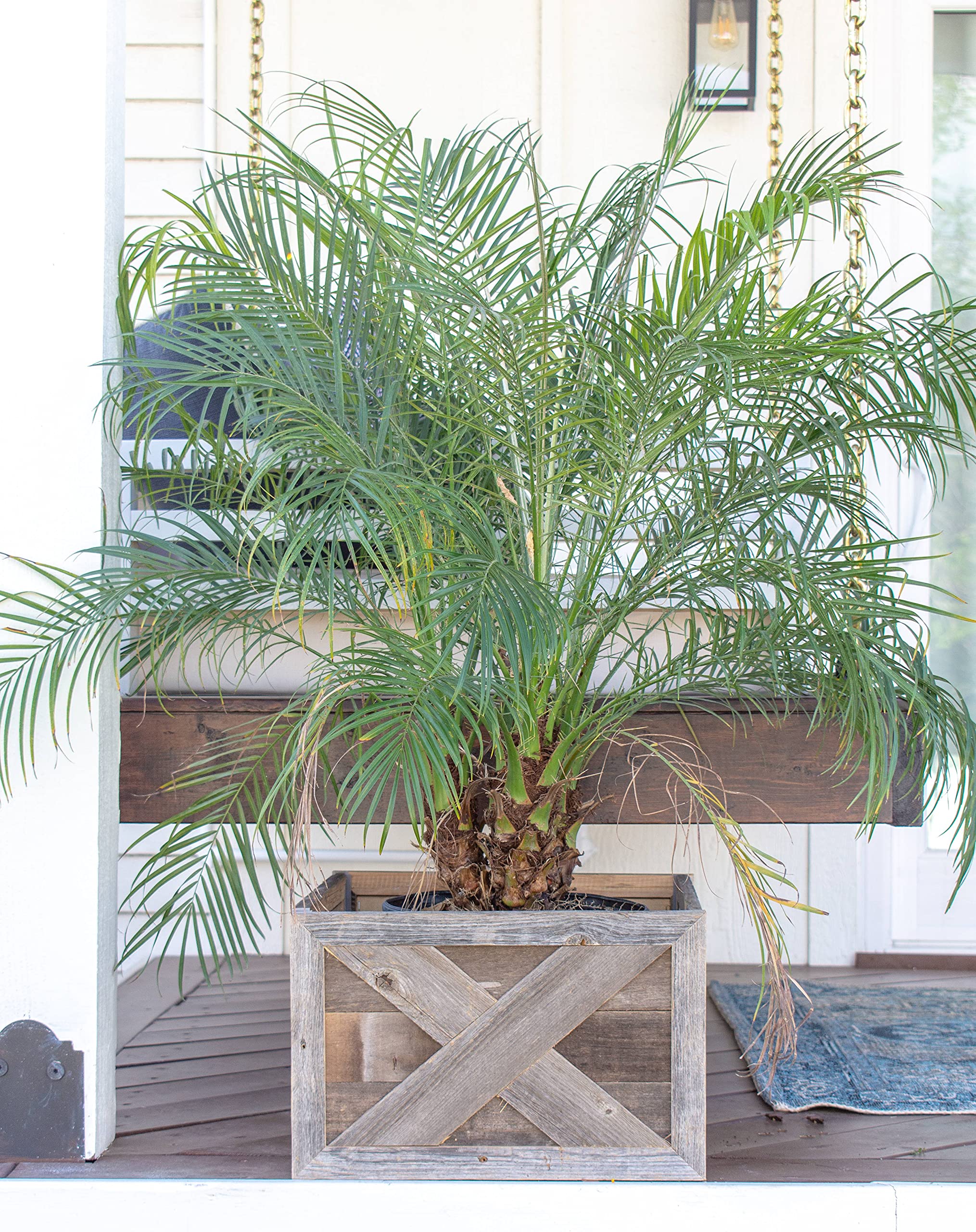 BarnwoodUSA Real Wood Plant & Tree Box Collar - Natural Weathered Gray Farmhouse Style Planter Cover - Fits Flower Pots & Tree Containers - Perfect for Indoor/Outdoor Home Decor, Garden & Patio