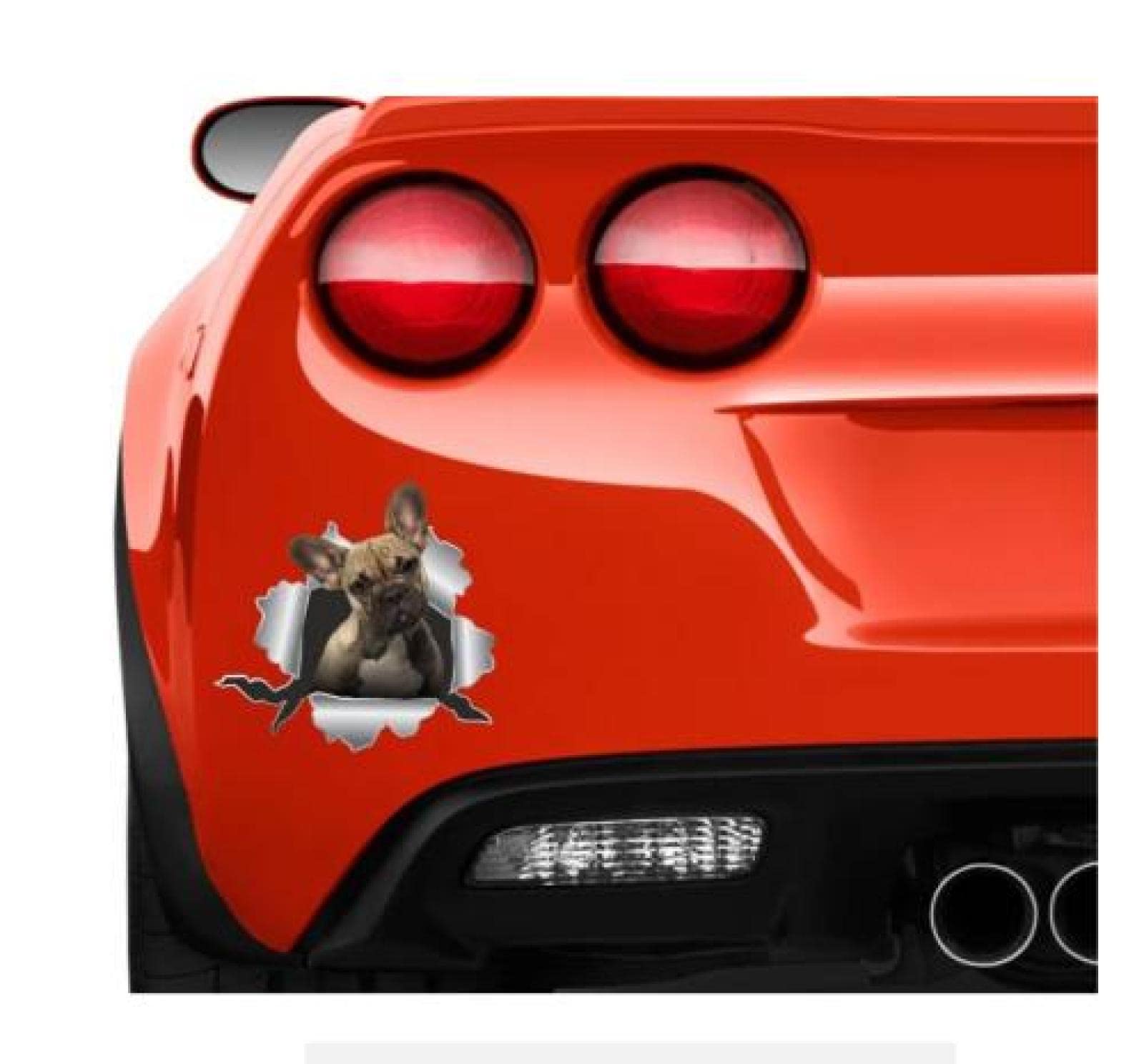 Funny French Bulldog Car Stickers - 30Cm Vinyl Decal for Cars, Windows, Laptops | Frenchie Dog Lover Gift for Pet Owners | Perfect for Personalizing Vehicles, Home Decor & Gifts