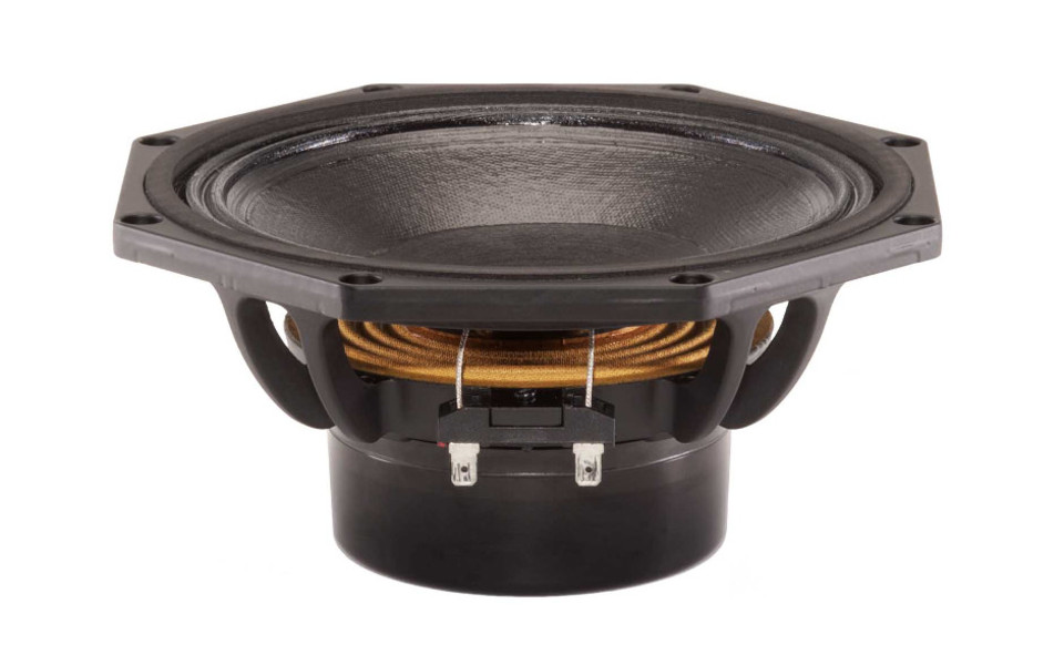 B&C 8NDL64 8-Inch 350W Neodymium Woofer with 2.5