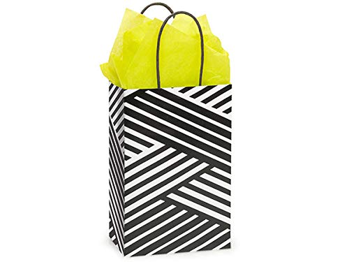 Set of 6 Eco-Friendly Kinetic Ink Paper Shopping Bags (3 Sizes) with Tissue Paper - 100% Recyclable & Made in USA | Perfect for Retail Stores, Gift Packaging & Boutique Shopping