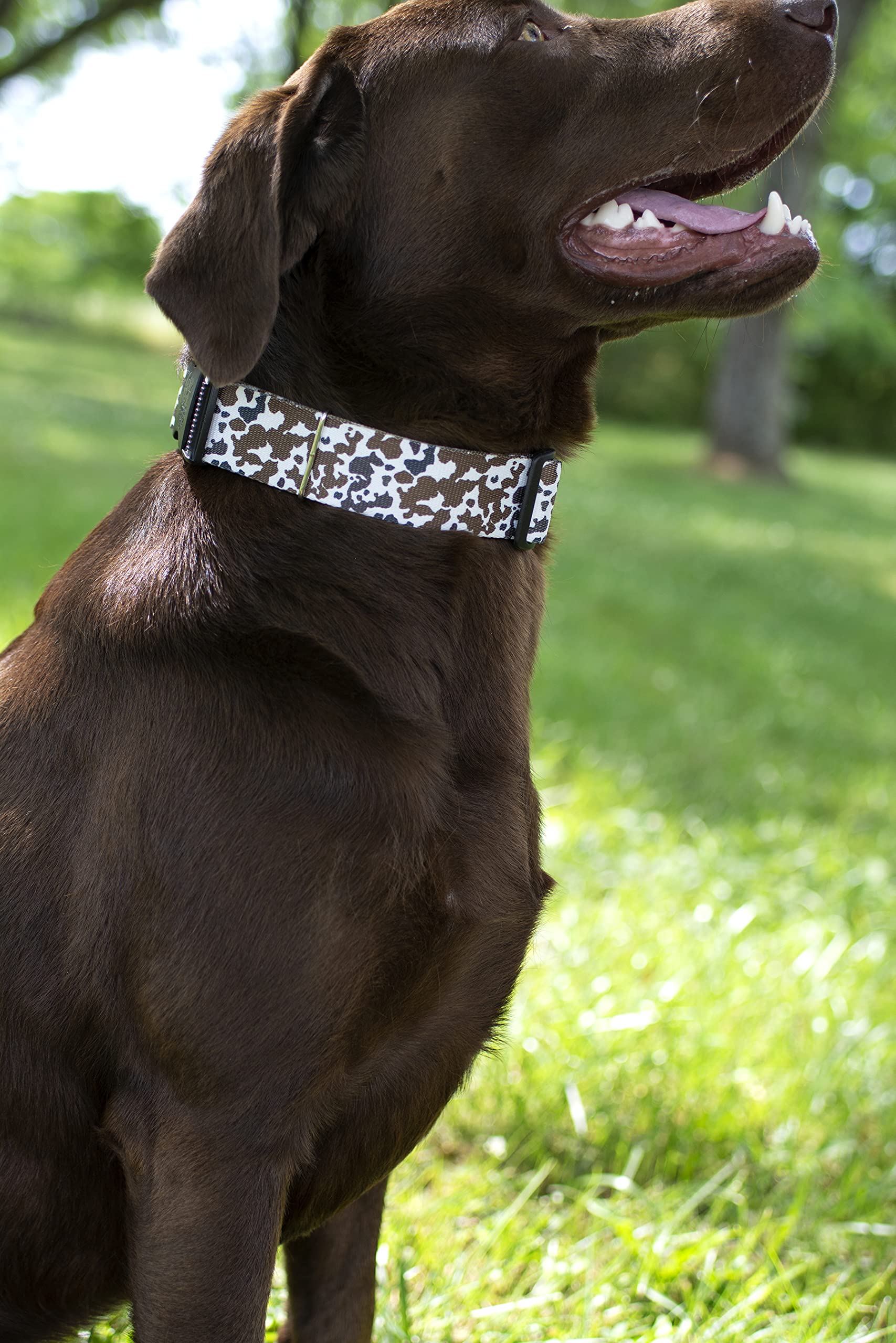 Country Brook Design - Cow Print Polyester Webbing for Dog Collars, Leashes & Pet Accessories | Durable & Stylish Animal Print Fabric for DIY Crafts & Fashion Projects