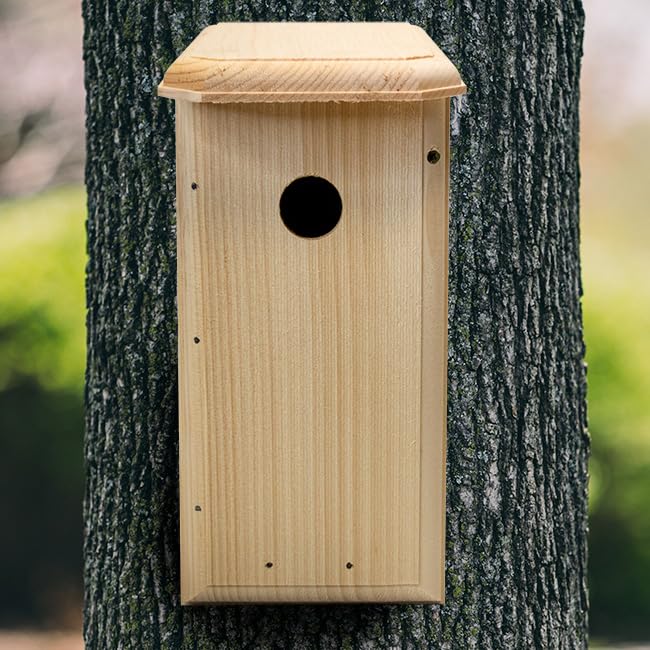 Nuthatch Bird House - Natural Wooden Bird Habitat for Backyard & Garden - Attracts Wild Birds for Birdwatching & Nature Enjoyment