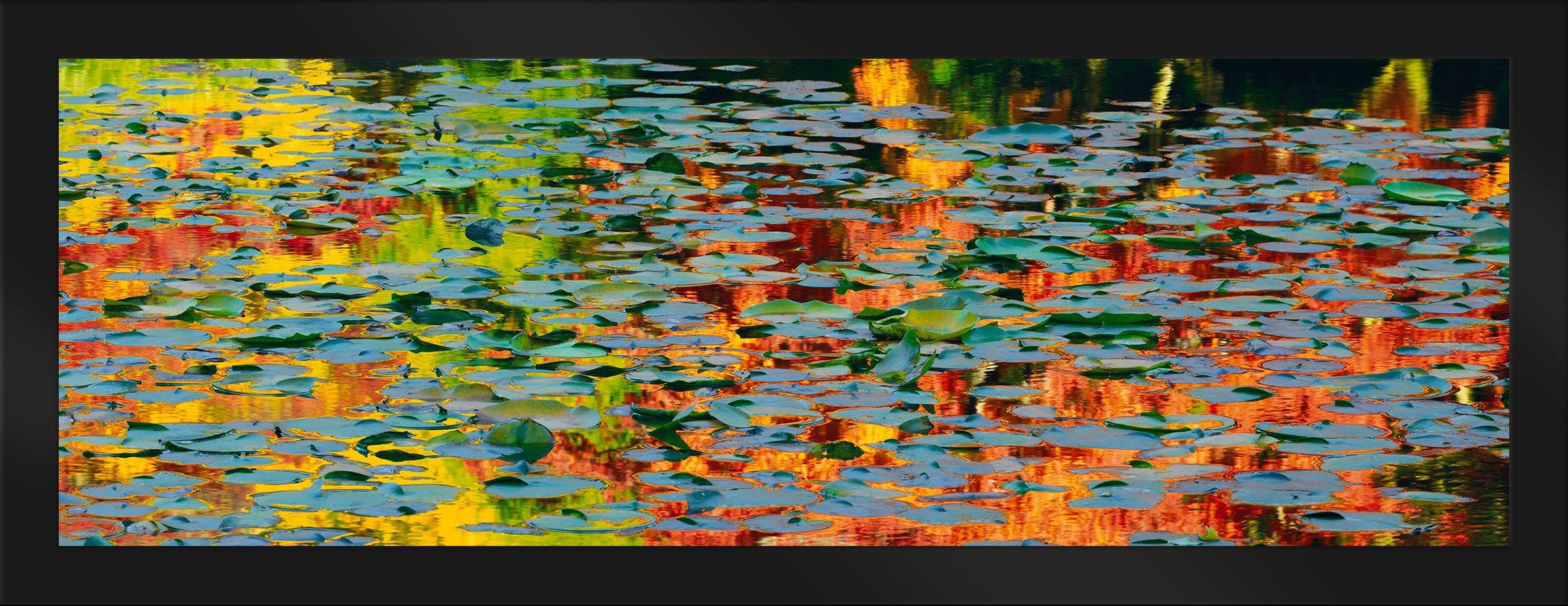 Autumn Impressions - Fall Home Decor & Seasonal Wall Art for Cozy Living Rooms, Bedrooms, and Thanksgiving Decorations