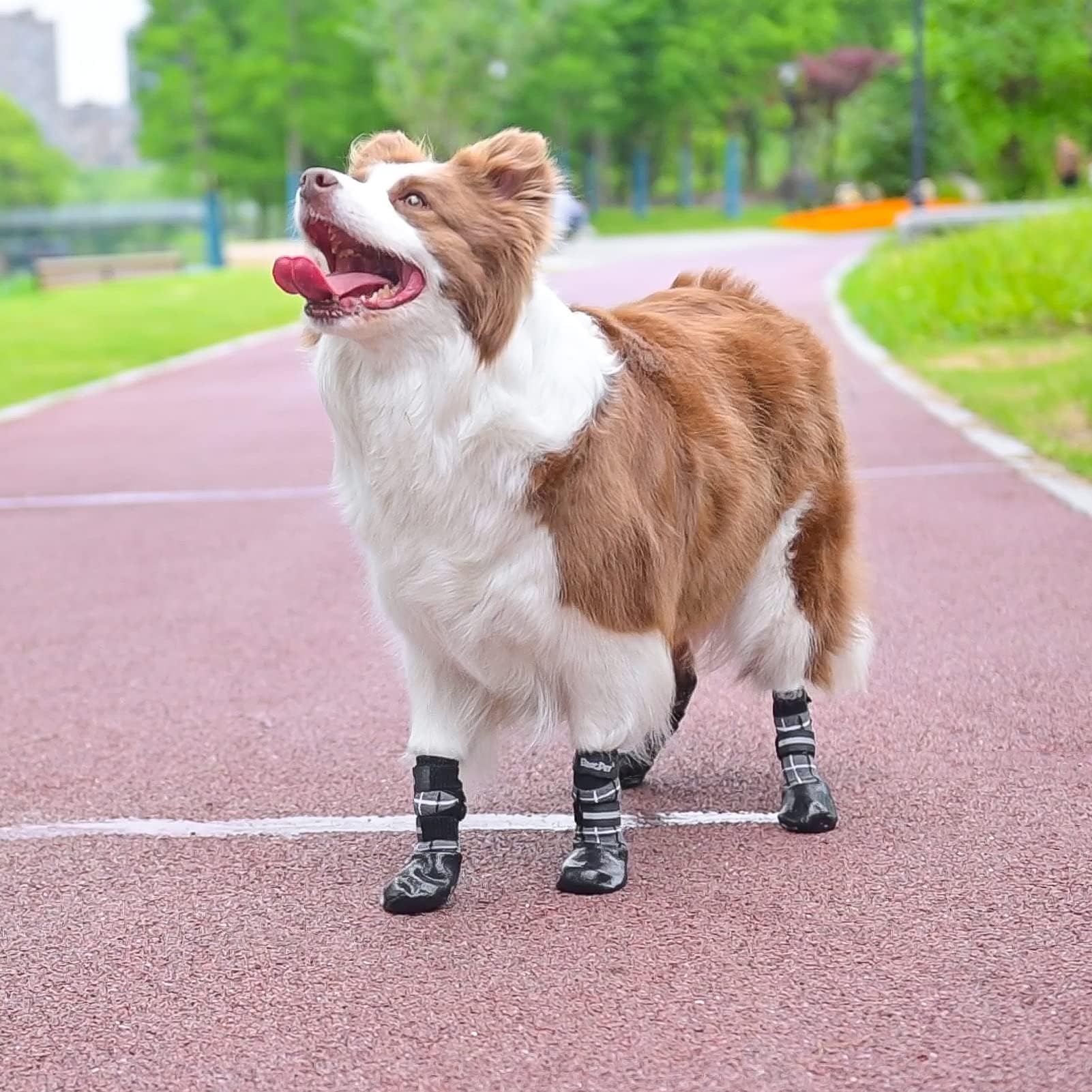 BINGPET Anti-Slip Dog Boots - Waterproof Dog Shoes with Reflective Straps for Hot Pavement, Hardwood Floors Protection - Paw Protector Socks for Small, Medium & Large Dogs - Prevent Licking & Injuries - Perfect for Walking, Hiking & Indoor Use