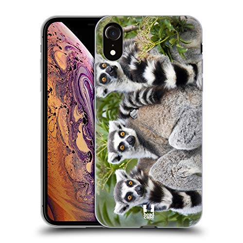 Ring Tailed Lemur