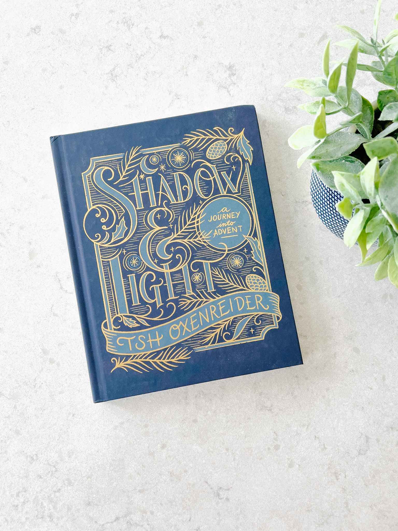Shadow & Light: A Journey Into Advent - Christian Devotional Book for Christmas Season | Perfect for Personal Reflection, Small Groups & Holiday Gifting
