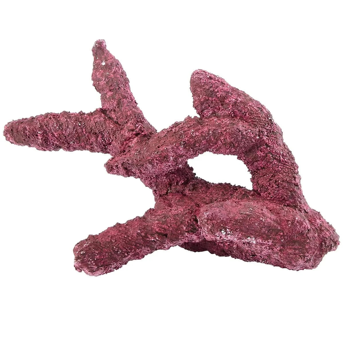 Reef Ready Box for 20-40 Gallon Aquariums - Real Reef Decor for Saltwater Fish Tanks | Perfect for Coral Placement & Marine Habitat Setup
