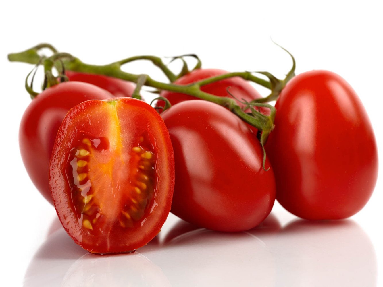Roma Tomato Plant 2.5