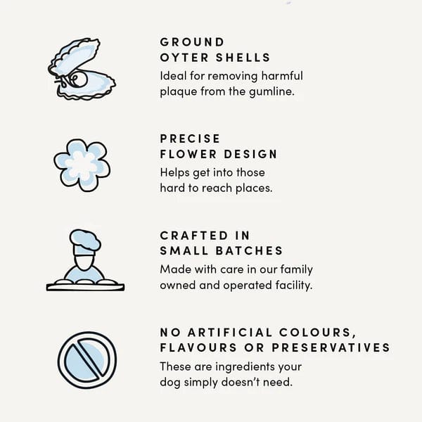 Crump's Naturals Plaque Busters Pumpkin Spice Dental Sticks for Dogs - Natural Teeth Cleaning Chews for Fresh Breath & Tartar Control - Perfect for Small & Medium Breed Dogs After Meals