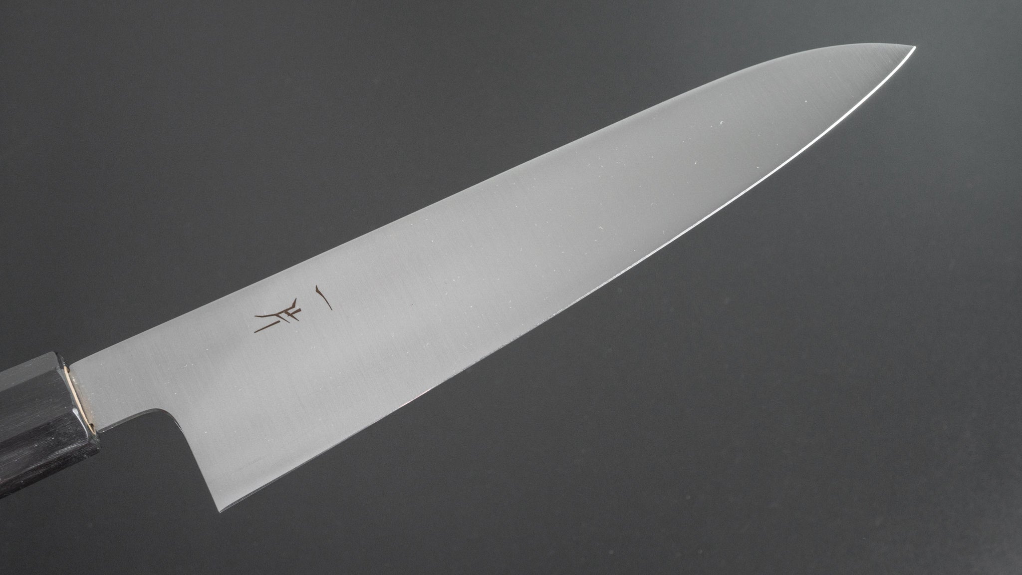 Hitohira FJ VG-10 Gyuto Japanese Chef Knife 210mm with Ho Wood Handle - Professional Kitchen Knife for Slicing, Dicing & Meat Cutting