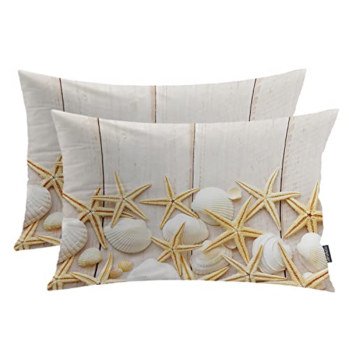 Ocean Marine Organism Starfish 2 White
