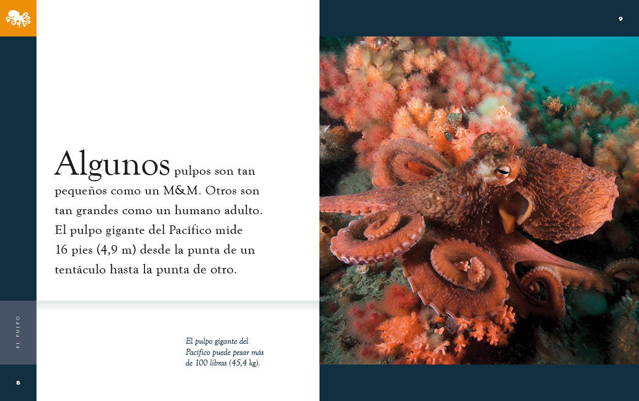 El Pulpo Octopus Book 9781640266957 - Learn About Marine Life, Perfect for Kids & Ocean Enthusiasts