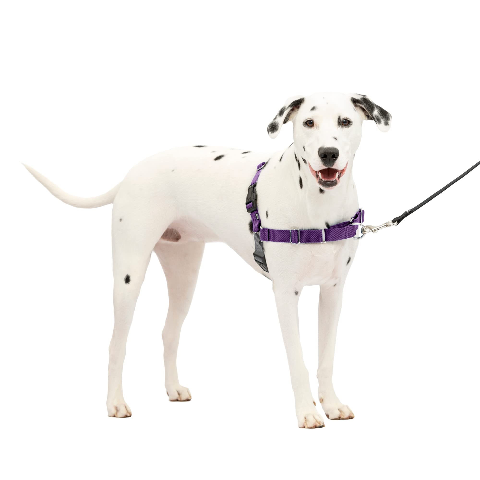 PetSafe Easy Walk No-Pull Dog Harness for Medium/Large Dogs - Stop Pulling & Improve Leash Training - Comfortable Deep Purple/Black Design - Perfect for Walking, Hiking & Outdoor Adventures