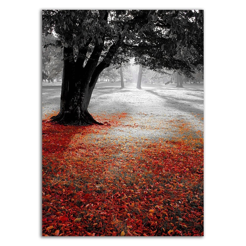 Autumn Contrast Canvas Print by PhotoINC Studio - Ready to Hang Wall Art for Living Room, Bedroom & Office Decor