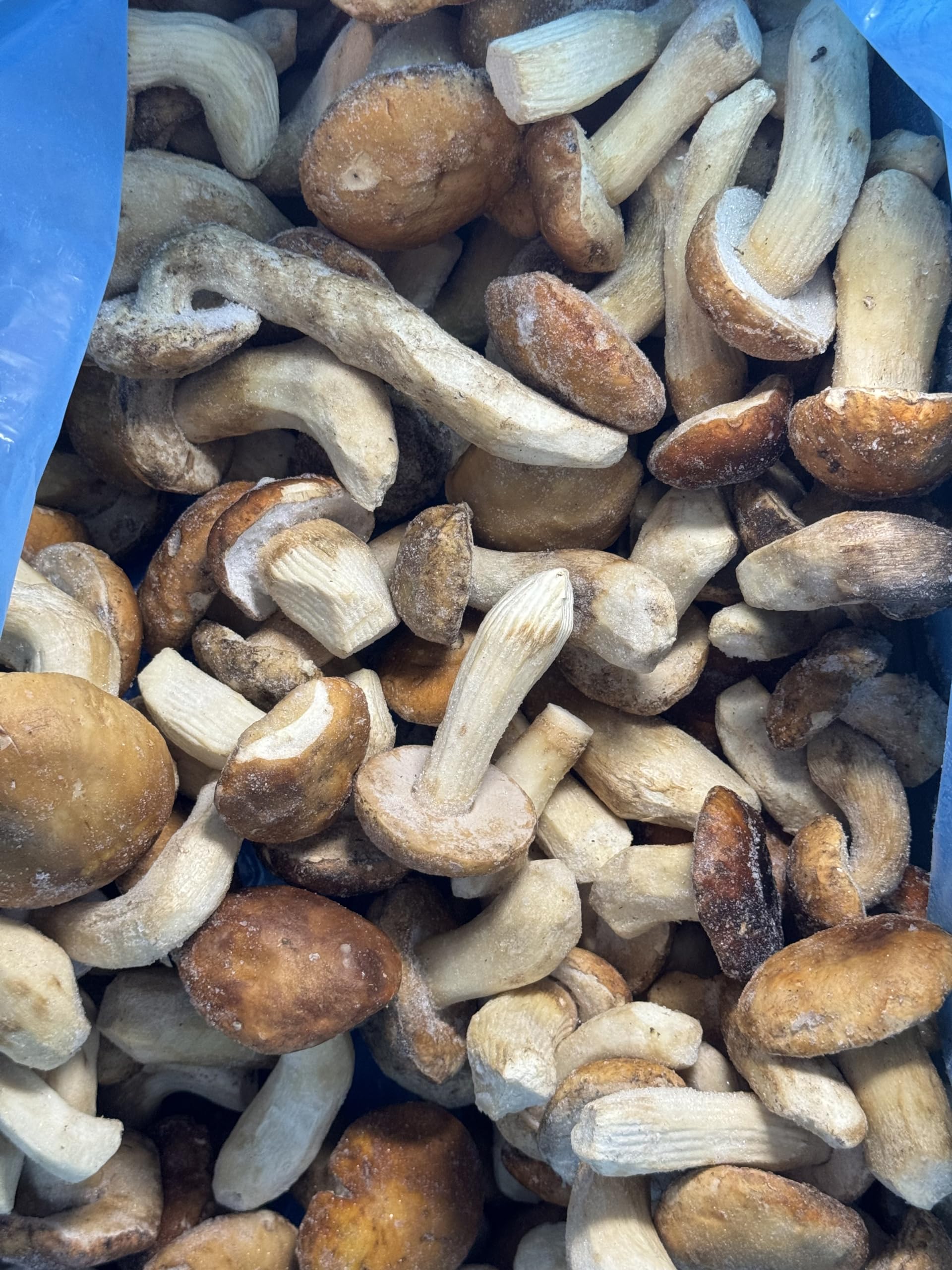 Premium Italian Porcini Mushrooms - Whole, Fresh or Frozen, 4lb Bulk Pack | Perfect for Risotto, Pasta & Gourmet Cooking