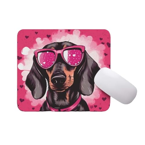 Dachshund