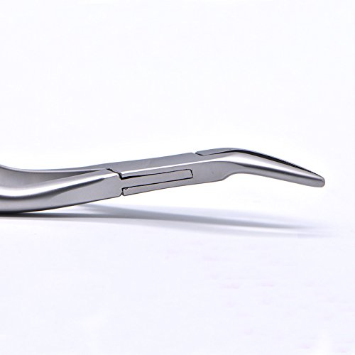Dental Tooth Extraction Forceps for Root Fragment Removal - Minimally Invasive Curved Dental Instruments for Maxillary Teeth | Professional Oral Surgery Tools for Dentists & Dental Clinics