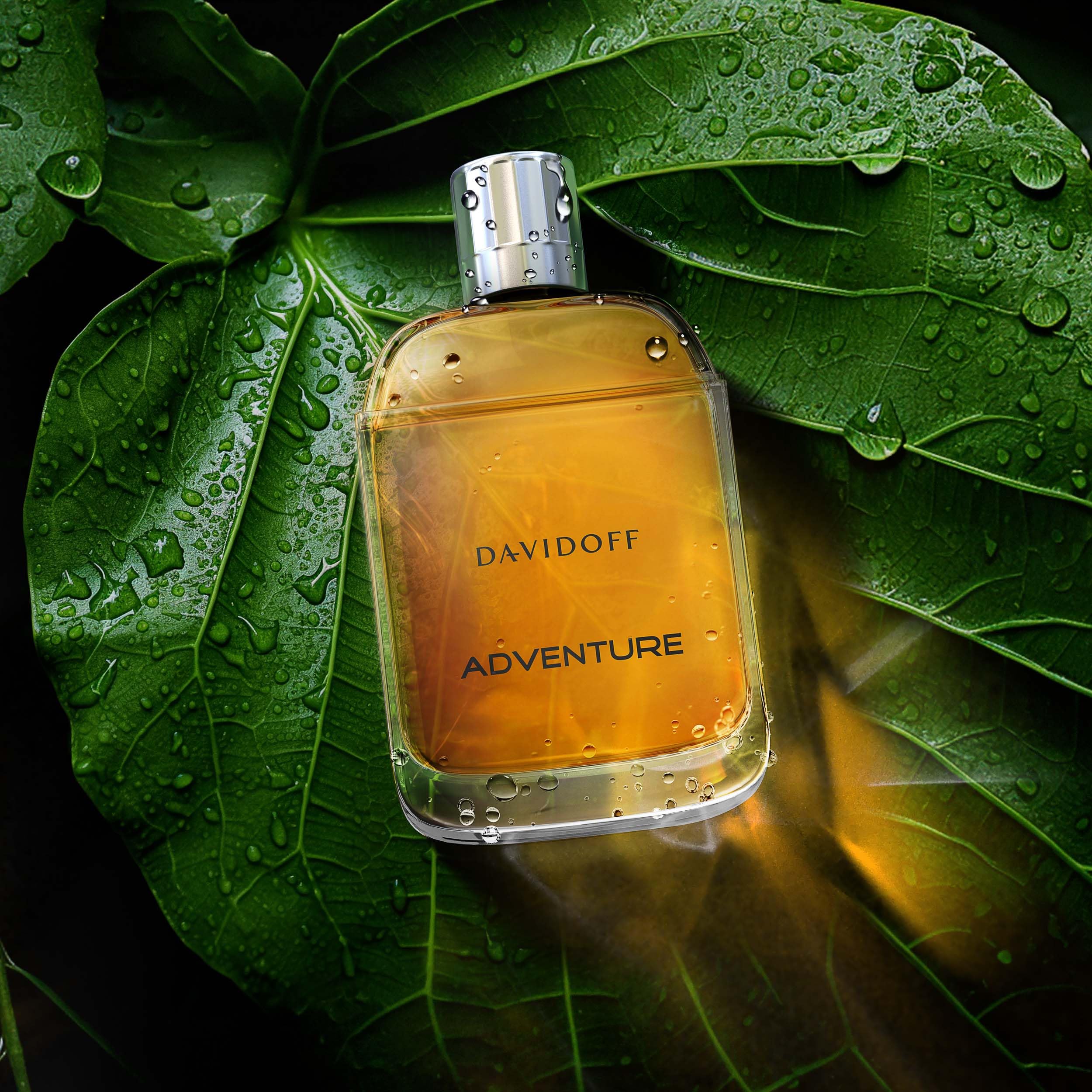 Davidoff Adventure Eau de Toilette for Men - Woody Cologne with Mandarin, Pimento & Vetiver Notes - Long Lasting Fragrance - Perfect for Daily Wear, Office & Evening Events