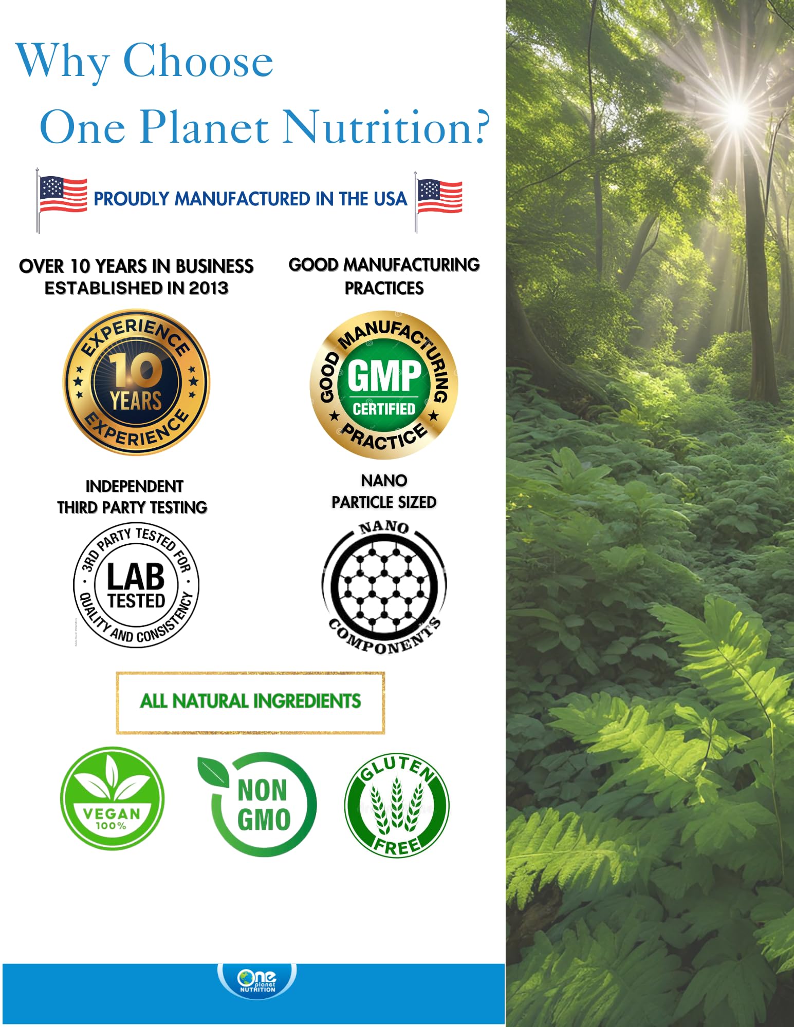 Nano Quercetin Powder 8 oz (227 Servings) | Premium Sophora Japonica Extract for Enhanced Absorption | Immune Support & Antioxidant Benefits | Non-GMO, Vegan Supplement | Perfect for Daily Wellness & Immune Boosting