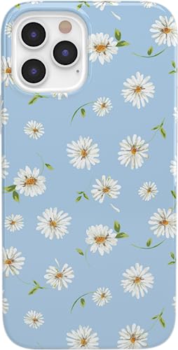 Daisy Daydream Baby Blue Floral