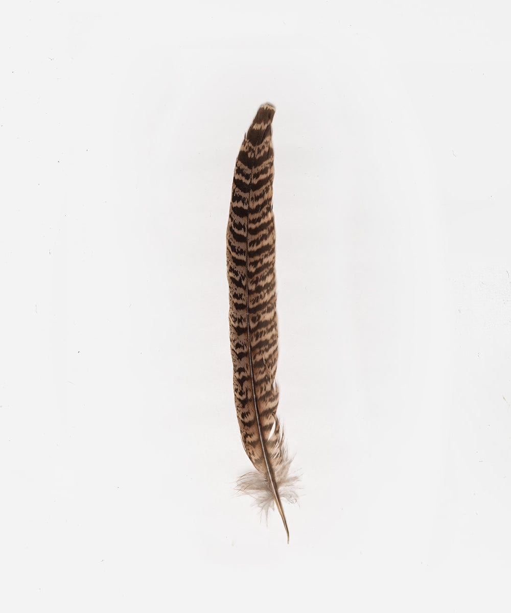Women's Peacock Feather Ringneck Hat - Stylish Headpiece for Parties, Weddings, and Festive Occasions