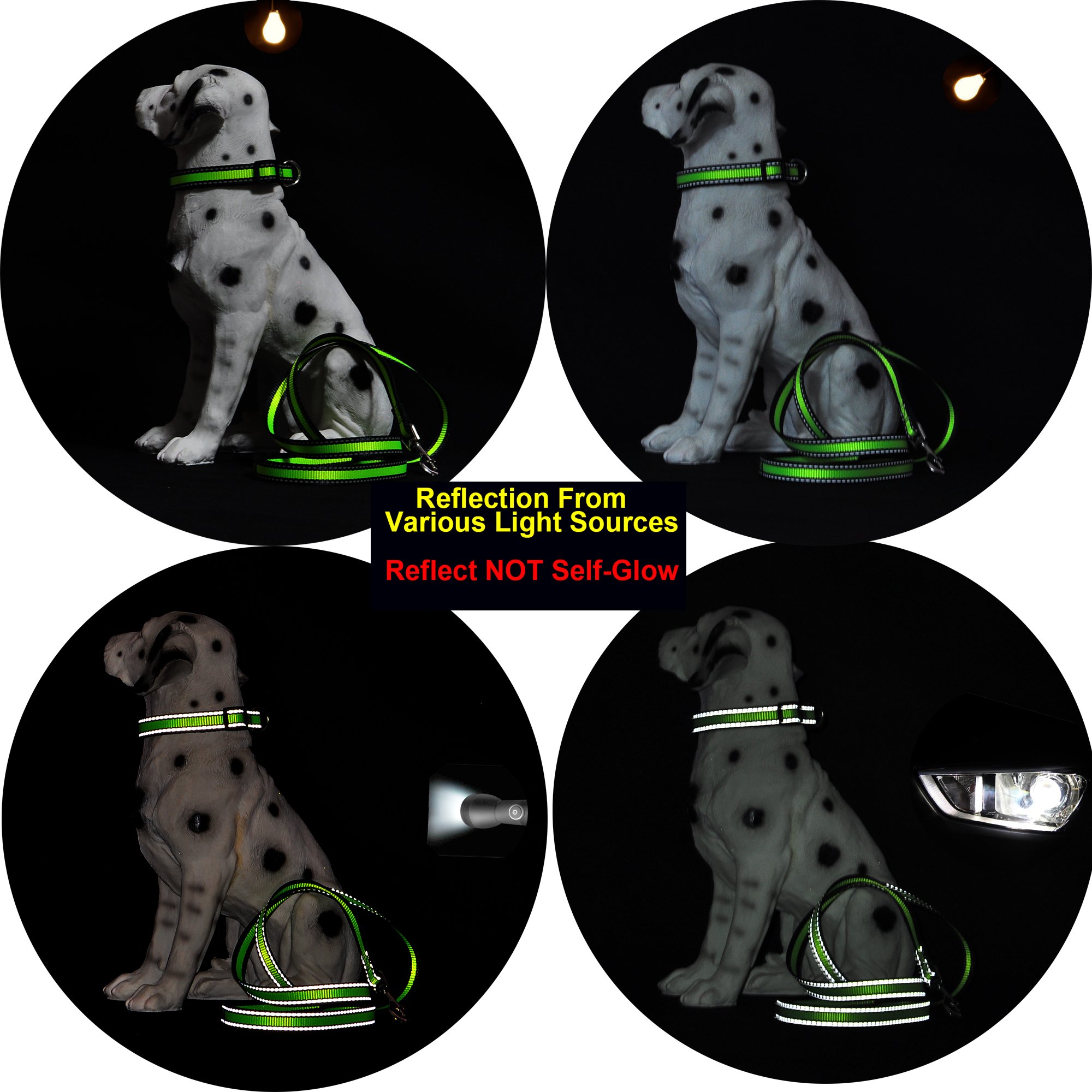 Reflective Nylon Dog Collar - Lightweight Purple Puppy Collar for Small Dogs - Perfect for Night Walks