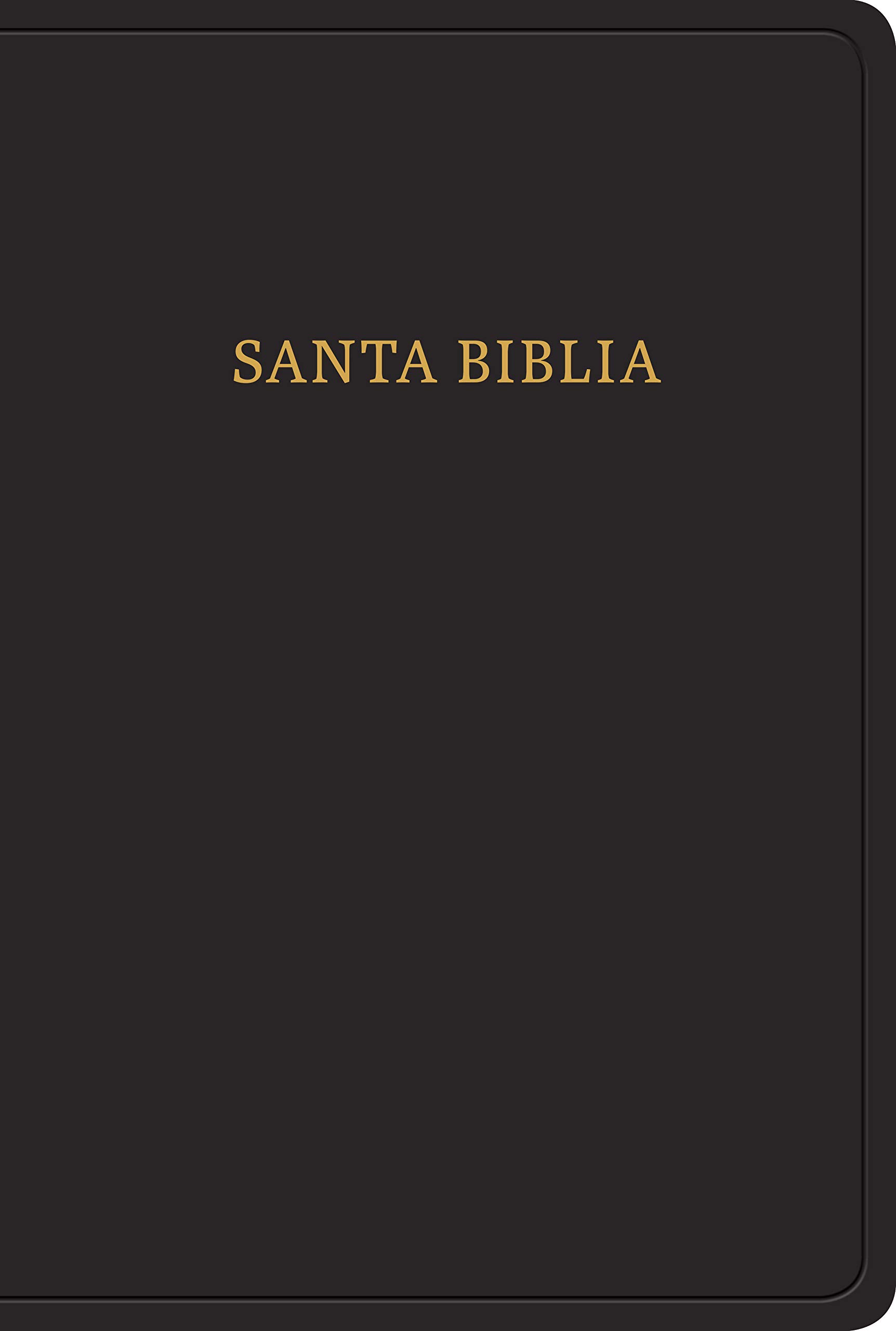 Hand Size Reina Valera 1960 Spanish Bible - Giant Print, Bonded Leather Cover, Black - Perfect for Church, Bible Study & Travel