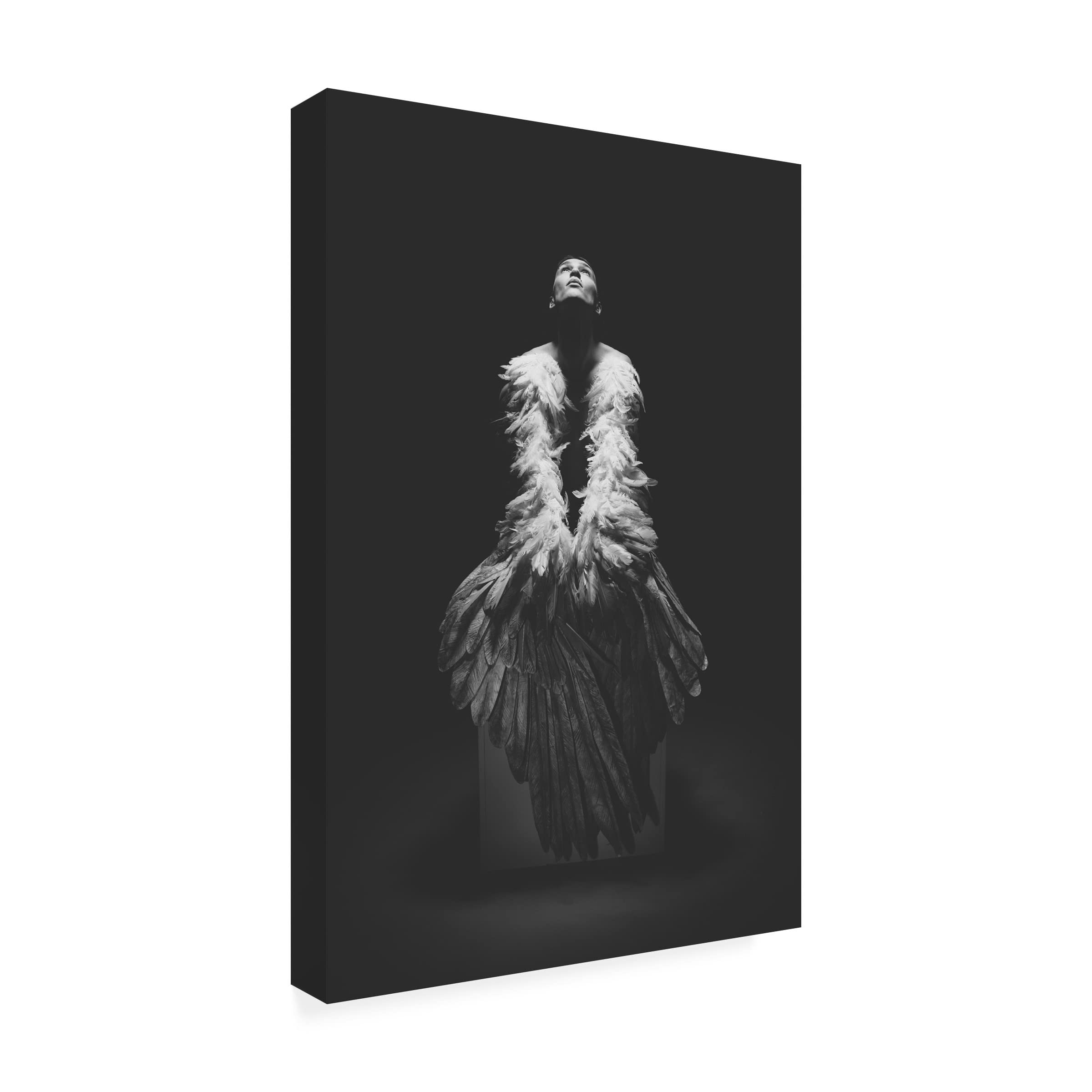 Trademark Fine Art 'Angel' Canvas Art by Marko Dasic - Hand-Painted Wall Decor for Living Room, Bedroom & Office - Perfect Gift for Art Lovers & Home Decor