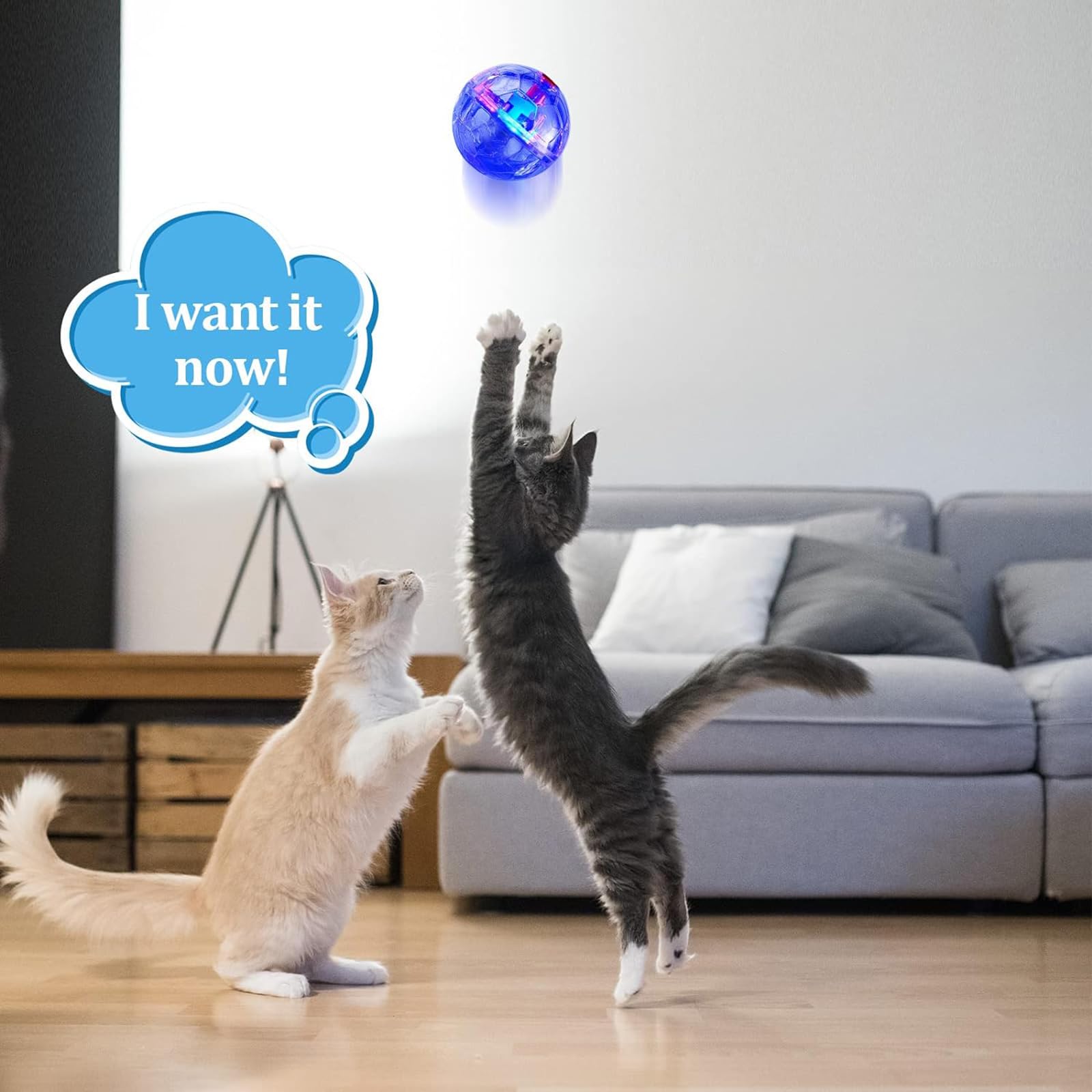 2 Pack LED Ghost Hunting Cat Balls - Motion Activated Glowing Interactive Pet Toys for Cats & Dogs (Clear) - Perfect for Night Play & Halloween Fun