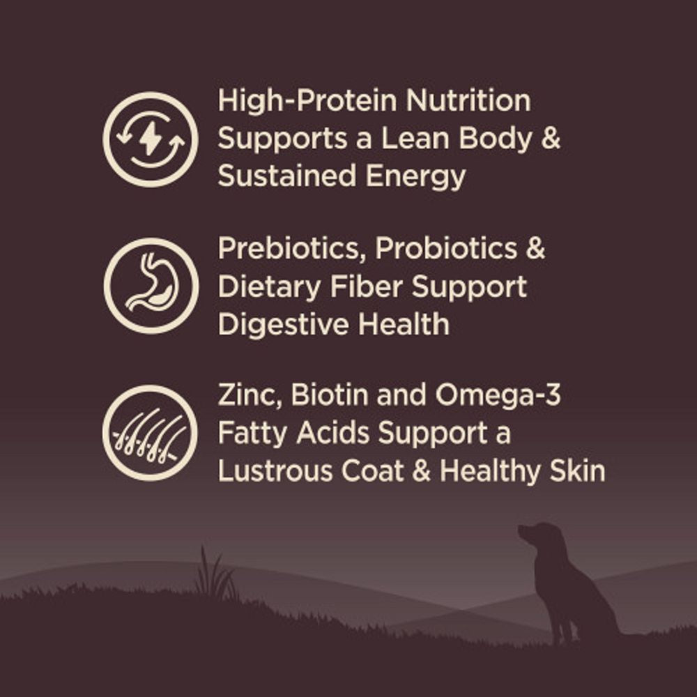 Premium CORE Original Turkey Adult Dog Dry Food - High Protein Grain-Free Recipe for Healthy Skin & Coat - Ideal for Active Dogs & Daily Feeding