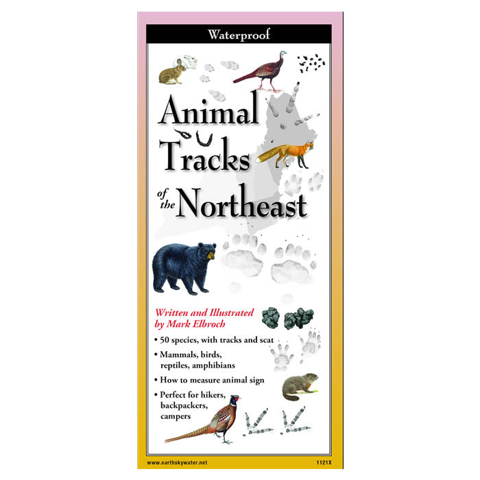 Animal Tracks of the Northeast Folding Guide - Waterproof Wildlife Tracking Identification Chart for Hiking, Camping & Nature Exploration