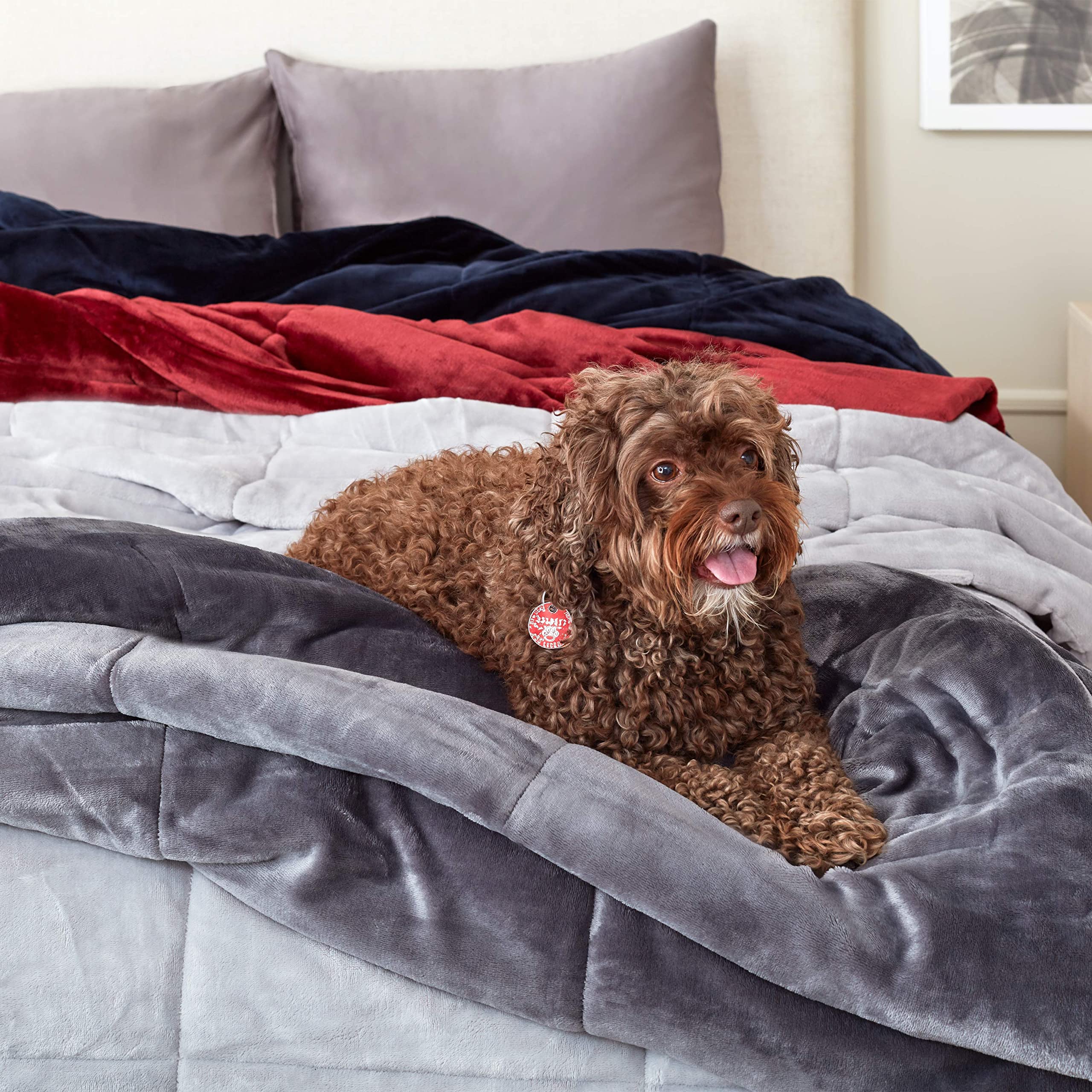 Vellux Queen Plush Lux Warm Blankets - Ultra Soft All Season Lightweight Quilted Blanket for Full/Queen Size Bed - Luxury Hotel Style Box Stitched Comforter (Grey) - Perfect for Bedroom, Living Room & Guest Room Coziness