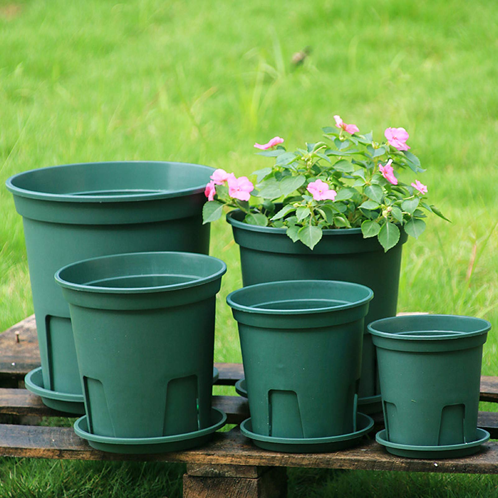 Plastic Flower Pot with Saucer - 6 Inch Plant Pots with Drainage Holes for Indoor House Plants, Flowers, Herbs | Perfect for Home Gardening, Office Decor & Balcony Greenery