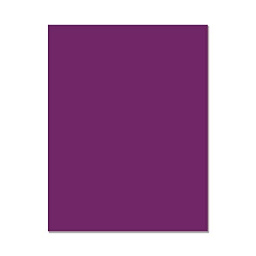 Hero Hues Premium Cardstock Plum