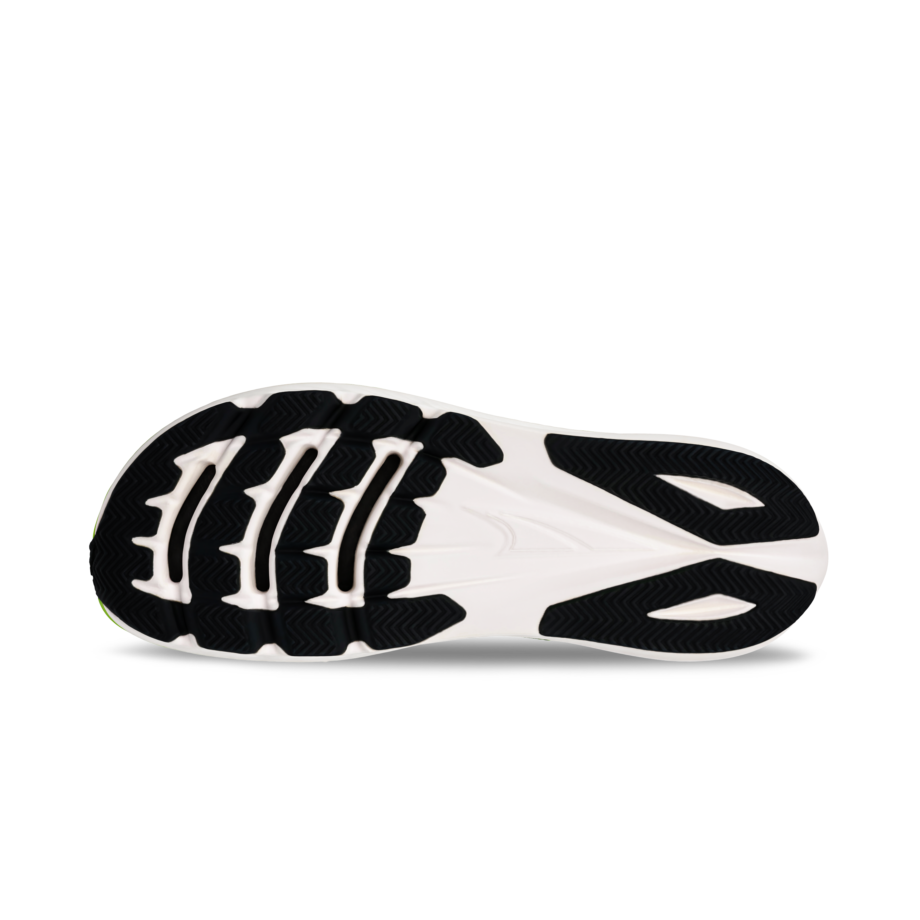VANISH CARBON 2 Women's Running Shoes - Lightweight Carbon Fiber Plate for Speed Training & Marathon Racing | Perfect for Road Running, Track Workouts & Long Distance Competitions