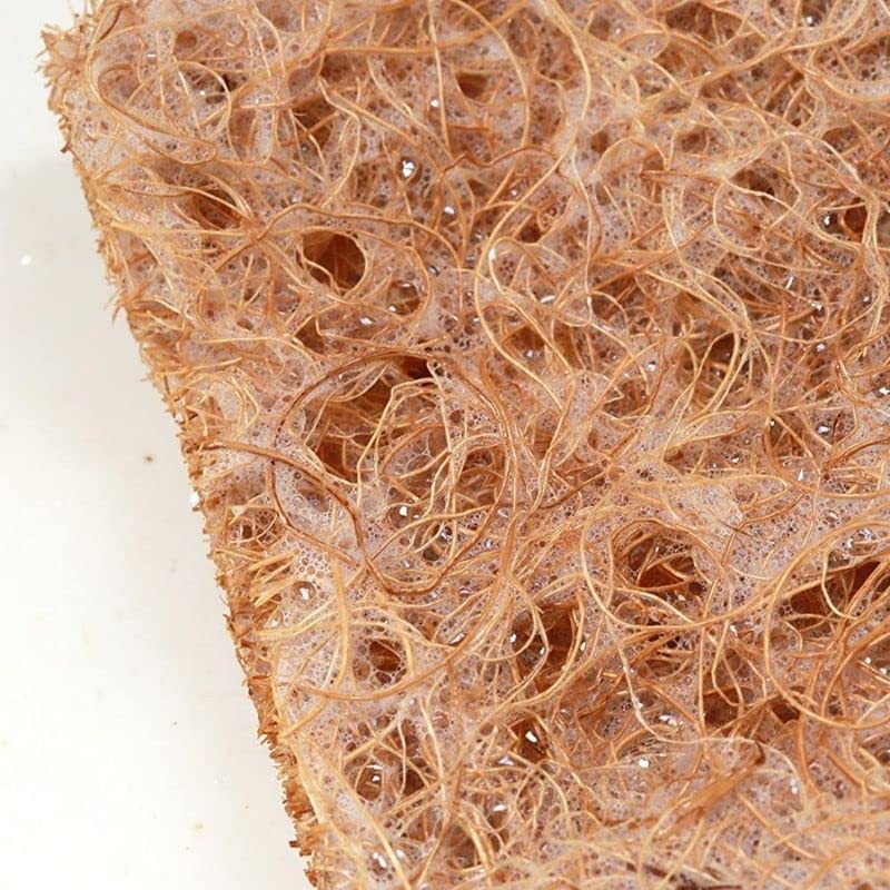 Organic B Coconut Scrub Pads 10-Pack - Natural Antibacterial & Biodegradable Dish Scrubbers for Pots, Pans & Kitchen Utensils | Eco-Friendly Kitchen Cleaning Pads for Stubborn Grease & Stains Removal | Perfect for Daily Dishwashing, Sink Cleaning & Cookware Maintenance