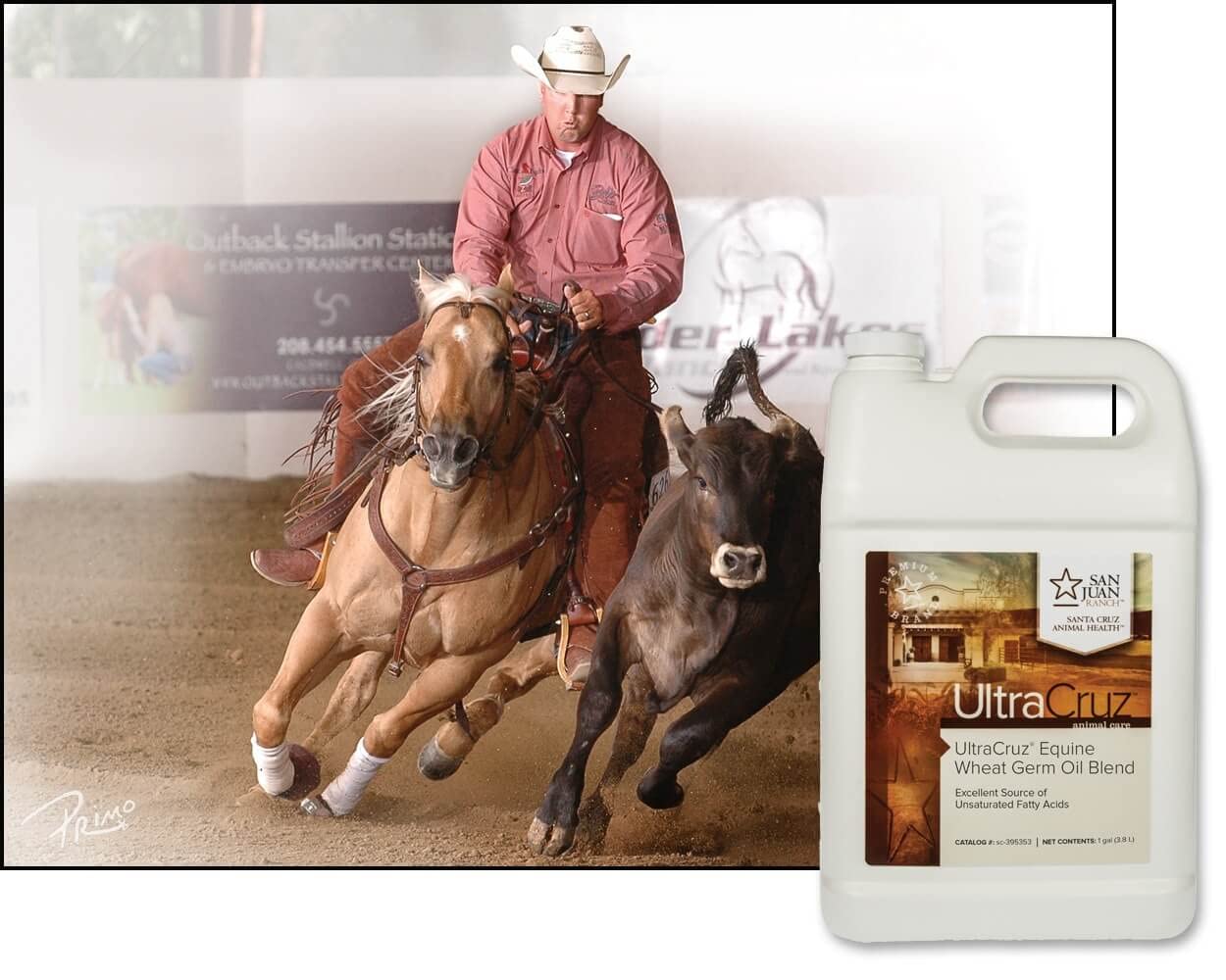 UltraCruz Wheat Germ Oil Blend Supplement for Horses & Livestock - 4 Pack (1 Gallon Each) | Supports Skin, Coat & Joint Health | Ideal for Equine Care & Farm Animal Nutrition