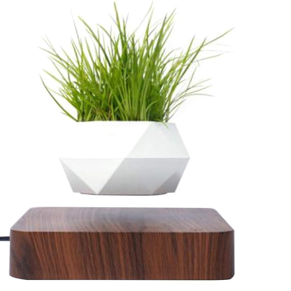 Newooh Creative Magnetic Levitating Air Bonsai Pot - Floating Suspension Flower Planter with Rotation - Unique Home & Office Desk Decor for Plants, Gifts, and Zen Spaces