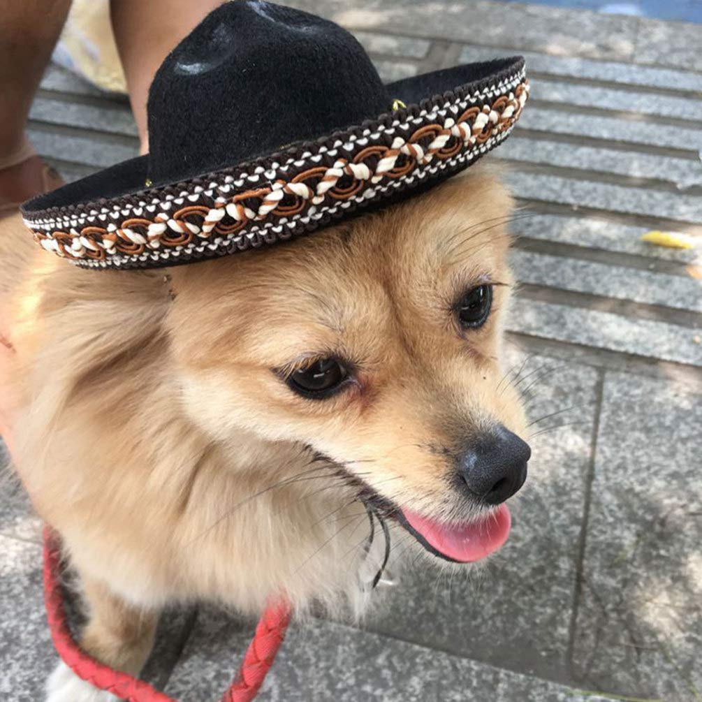 NUOBESTY Mini Straw Sombrero Hat for Dogs - Mexican Party Hat for Chihuahua, Puppy & Cat - Cinco de Mayo Pet Costume & Cosplay Accessory - Perfect for Mexican Fiesta, Halloween & Pet Photo Shoots