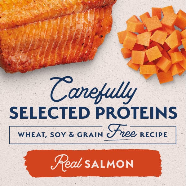 Natural Balance Limited Ingredient Sweet Potato & Salmon Recipe Canned Dog Food - Grain Free, Hypoallergenic for Sensitive Stomachs - Perfect for Adult Dogs with Food Allergies or Digestive Issues